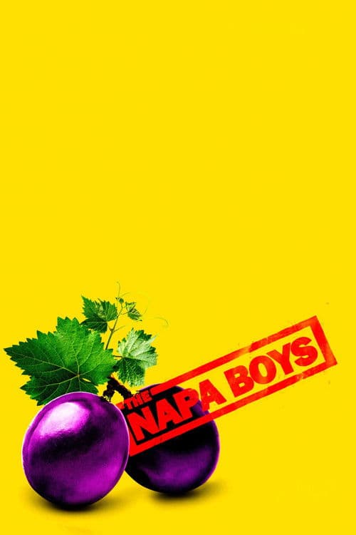 The Napa Boys (2026) movie poster