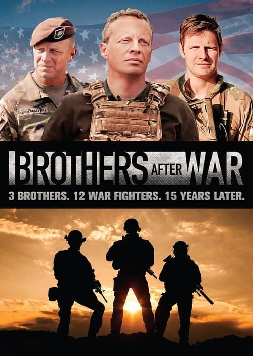 Brothers After War (2025) movie poster