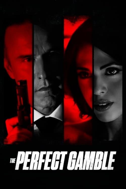 The Perfect Gamble (2025) movie poster