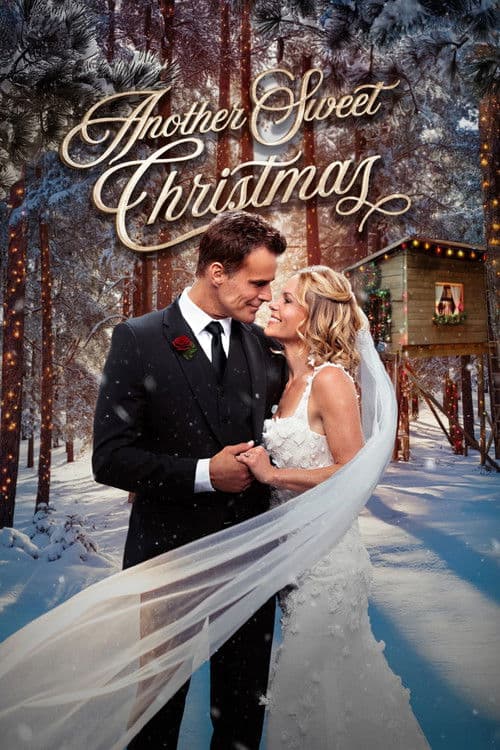 Another Sweet Christmas (2025) movie poster