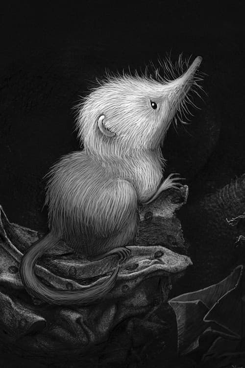 Little Shrew (Snowflake) (2025) movie poster